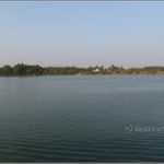 ಸರೋವರದ ನೋಟ...