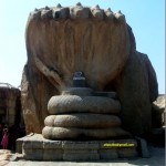 DSCN0352