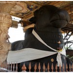 ಬೃಹತ್ ನಂದಿ