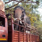 ಗೋಕರ್ಣಂದ ಕೊಡೆಯಾಲಕ್ಕೆ...