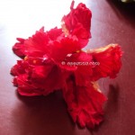 ಸಾರಡಿ ಪುಳ್ಳಿಗೊ ಹುಡ್ಕುತ್ತದು ಇದನ್ನೇ