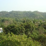 ಸೇವಾಧಾಮಂದ ಕಾಂಬ ಪ್ರಕೃತಿ ಸೌಂದರ್ಯ