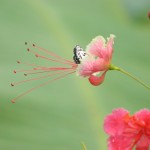 277803_410354545694434_394471238_o