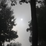 ಸಮಸ್ಯೆ28 : ಚಿತ್ರಕ್ಕೆ ಪದ್ಯ (3)
